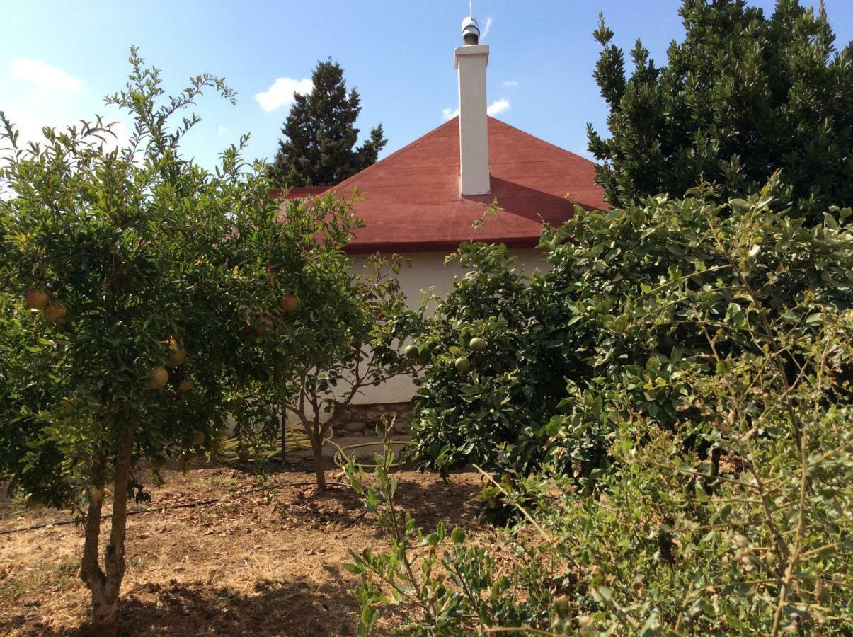 La Casa De Las Higueras Dar Karmus Tétouan Luaran gambar