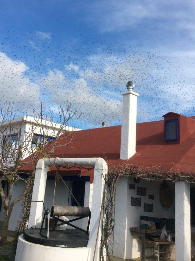 La Casa De Las Higueras Dar Karmus Tétouan Luaran gambar