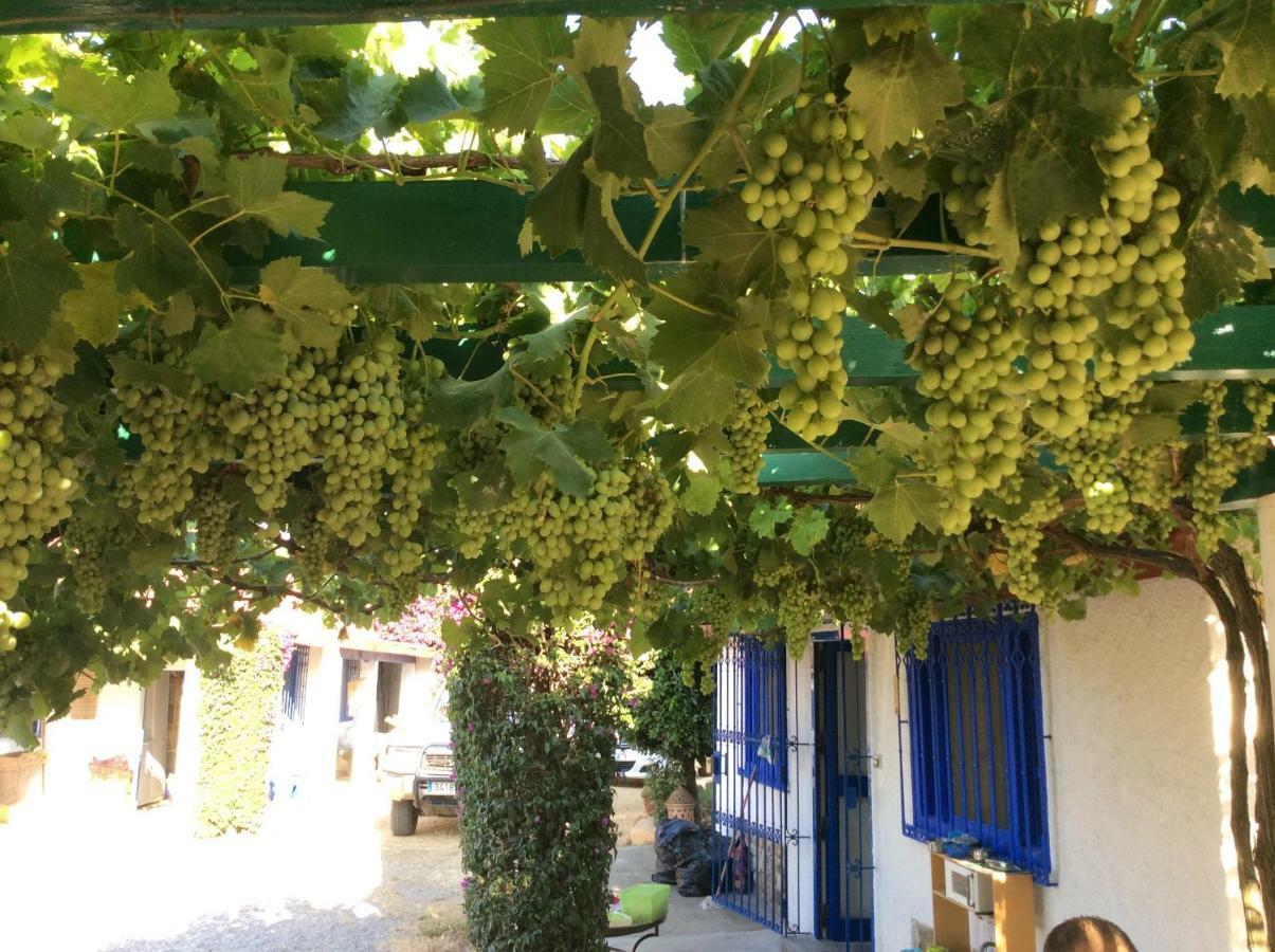 La Casa De Las Higueras Dar Karmus Tétouan Luaran gambar